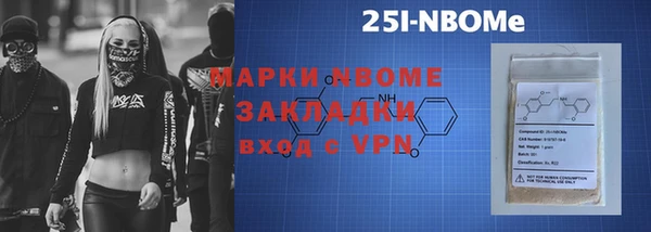 индика Надым