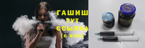 индика Надым