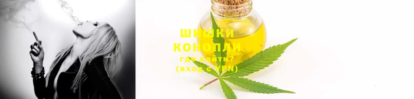 PSILOCYBIN Алексеевка