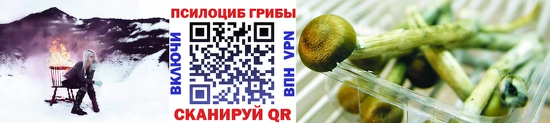darknet состав  Домодедово  Псилоцибиновые грибы MAGIC MUSHROOMS  ссылка на мегу онион 